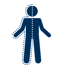 Human body, half is traced by a dotted line that cuts down the symmetric part of the human vertically.